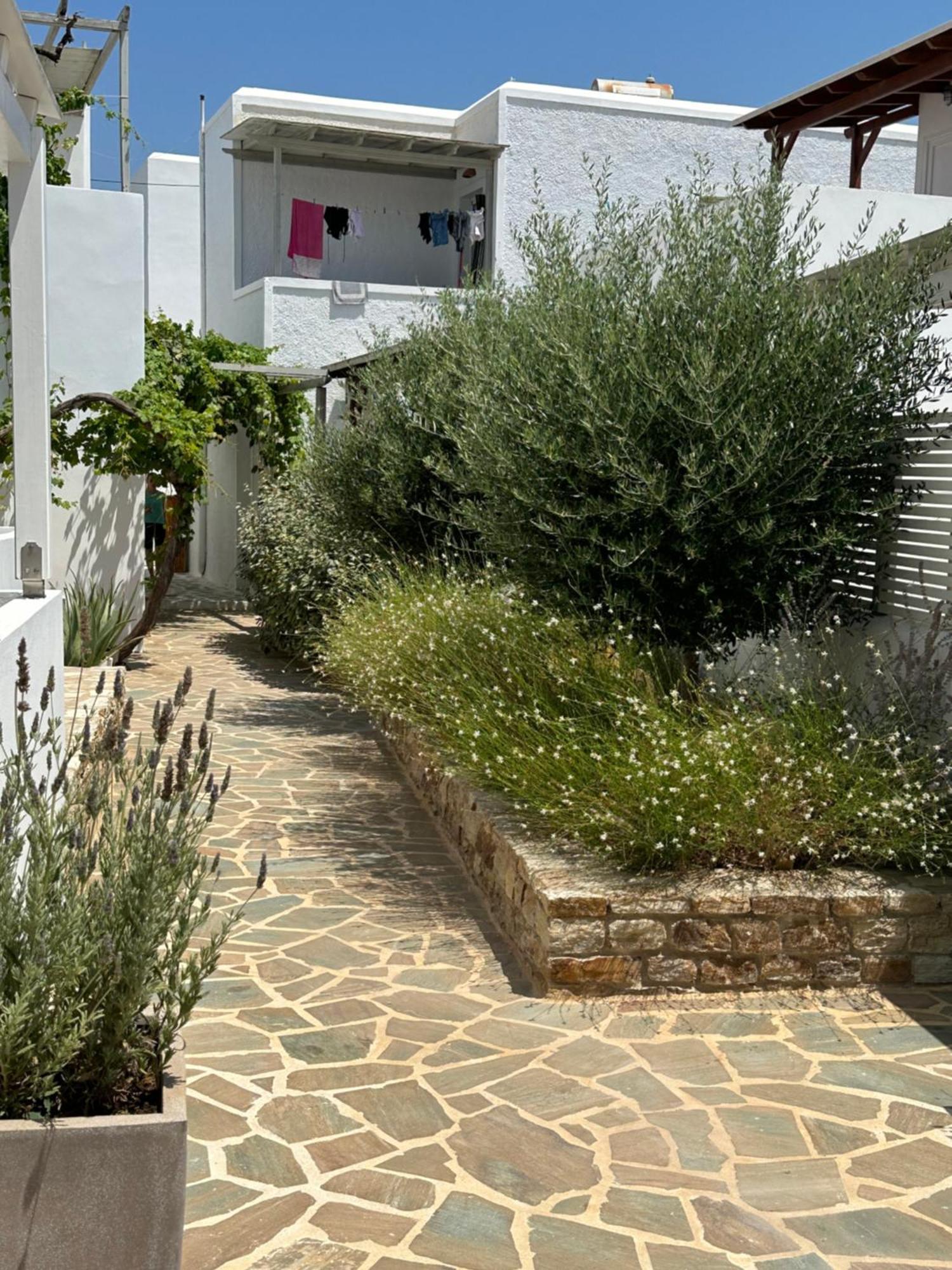 Levanda Guest Houses Antiparos Exteriör bild