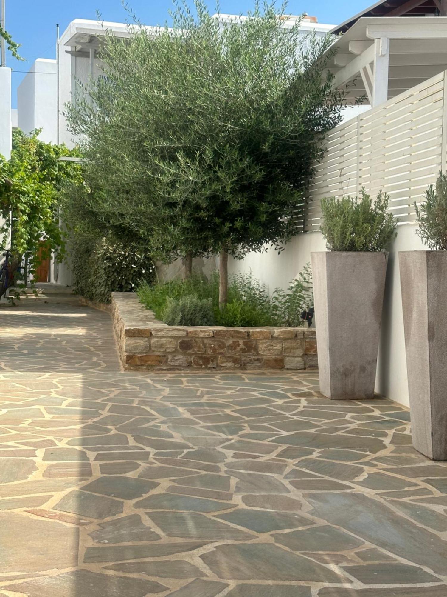 Levanda Guest Houses Antiparos Exteriör bild